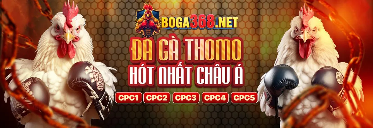 B9Casino Nhà Cái 2026 - Sòng Bạc Trực Tuyến Hàng Đầu