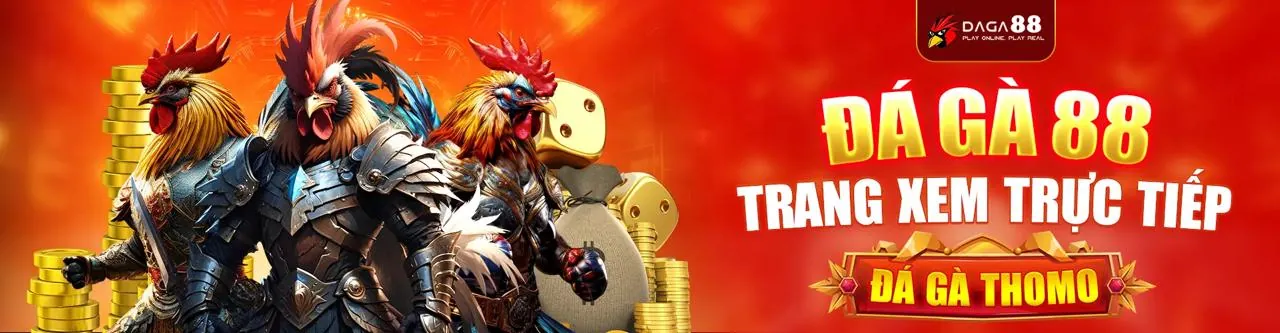 Hình ảnh chính B9Casino nhà cái