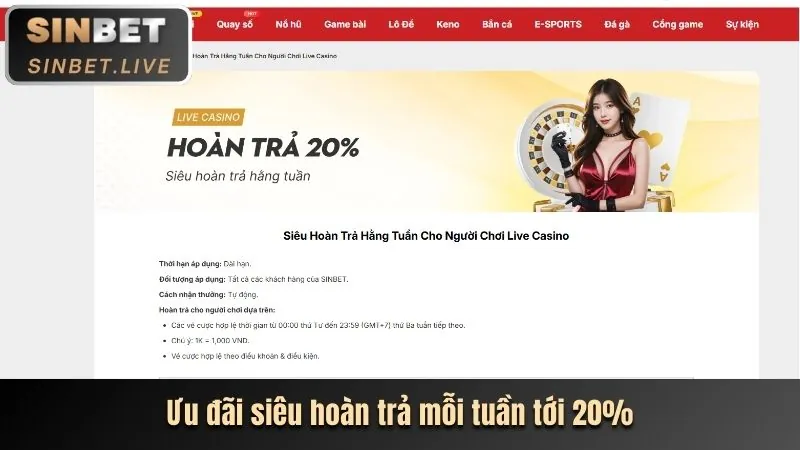 Video Slot b9casino nhà cái